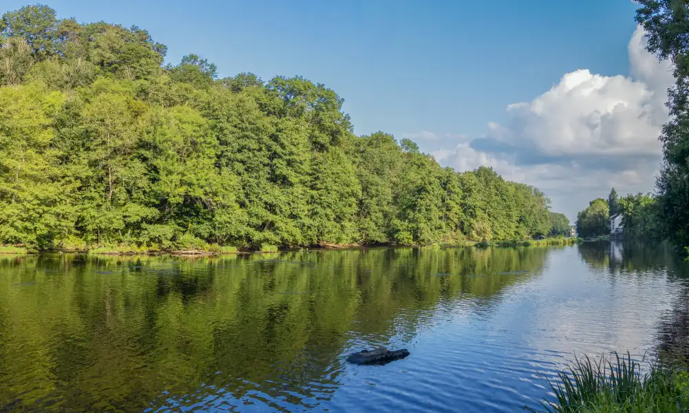 Réalisation du site du SAV I37